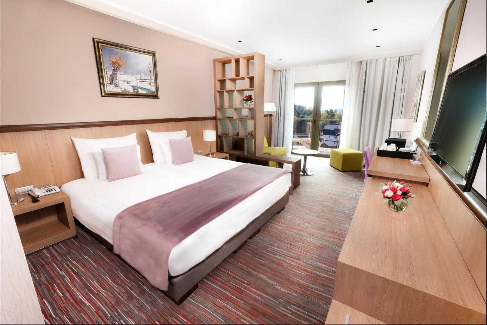 Hotel Premier Aqua - Adults Only Vrdnik Pokoj fotografie A typical hotel room